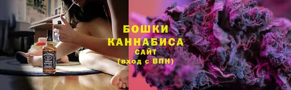 ALPHA-PVP Каменка