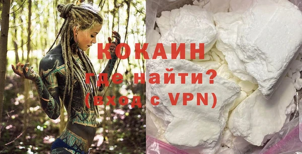 ALPHA-PVP Каменка