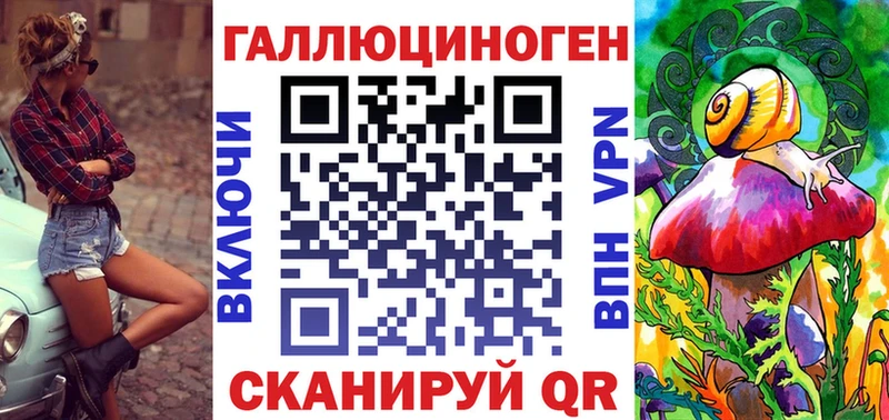 Купить где Шацк Псилоцибиновые грибы MAGIC MUSHROOMS
